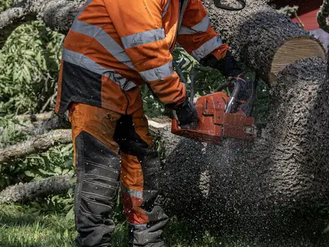 Mitarbeiter eines Baumdienstes sägt in voller Schutzausrüstung einen Stamm mit der Motorsäge